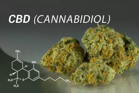 CBD-FLOWER-IRELAND